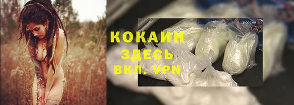 круглые Аркадак