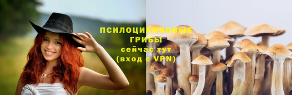 круглые Аркадак