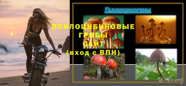 мдпв Арсеньев
